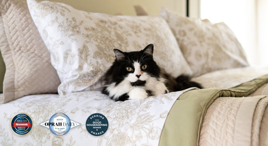 PeachSkinSheets GMA Deals and Steals banner featuring bedding sets