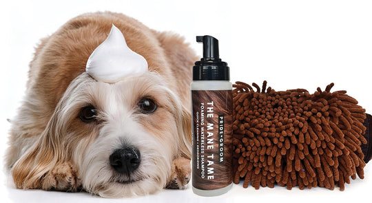 PRIDE + GROOM deal banner