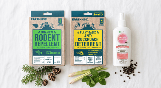 EarthKind natural home products GMA Deals banner