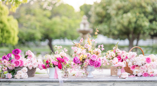 Grace Rose deal banner