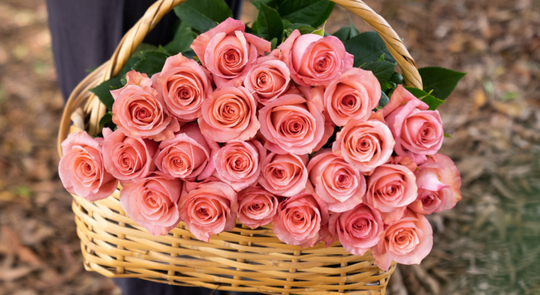 Rose Farmers GMA Deals and Steals banner