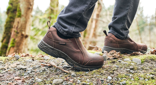 Pro Pet Footwear deal banner