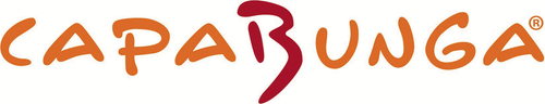 deal logo_3