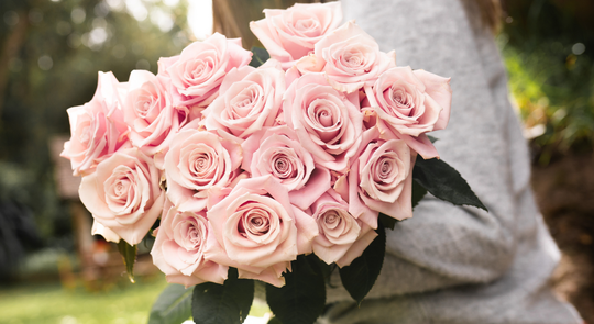 deal banner image_5